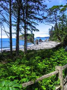 Ruby Beach-8055.jpg